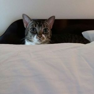 Meet your Posher, Lynne